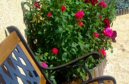 Anon de Moncayo Cabaña | Casa rural con chimenea, jardín y porche con vistas. Piscina compartida.