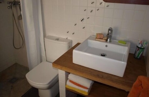 La Fueva Cabaña | Casa rural (alquiler íntegro) La Borda de Formigales