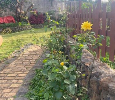 Tacoronte Casa | Rural House to take a Break, La Serreria 25 - Private garden