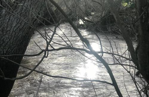 Broadwoodkelly Casa | Rural Retreat - Private Hot Tub