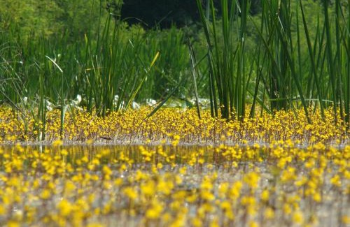 Sisak Casa | Rural Tourism Family Ravlic