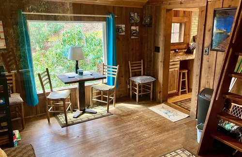 Black Mountain Cabina | Rustic 1940's Appalachian Summer Cabin w/hot tub - Black Mountain