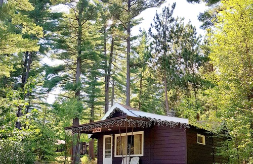 Wilmington Chalet De Esquí | Rustic Cabin in beautiful environment under Pine Trees