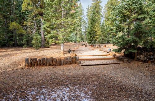 Meadow View Heights Casa | Rustic Forest Retreat