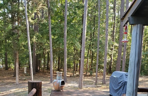 Hawkins Cabina | Rustic Log Cabin on beautiful Lake Hawkins