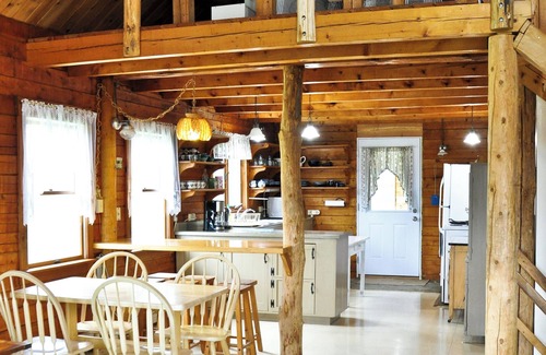 Alfred Station Cabina | Rustic Log Cabin in Alfred Station