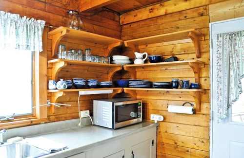 Alfred Station Cabina | Rustic Log Cabin in Alfred Station