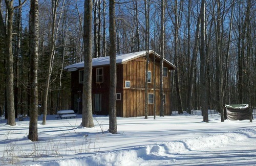 Finlayson Cabina | Rústica de dos niveles Tree Lodge rodeado por el bosque con chimenea y pozo de fuego