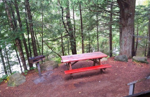 Dennysville Cabaña | Pet-Friendly totalmente equipada cabaña con vistas al agua en Downeast Maine, 7 plazas
