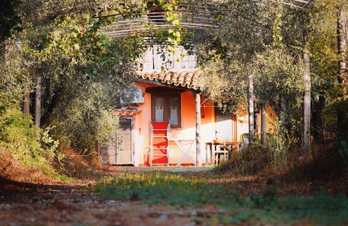 Bari Sardo Casa | Rústico con jardín