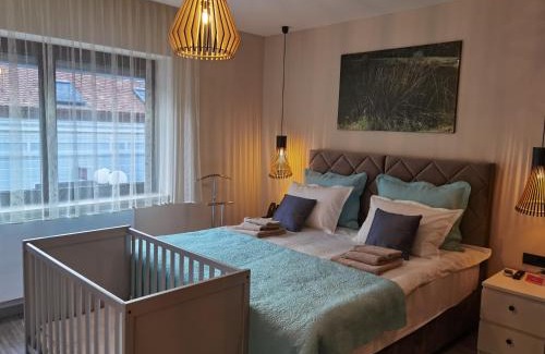 Pozega Apartamento | Rustica Nocte Boutique Apartments