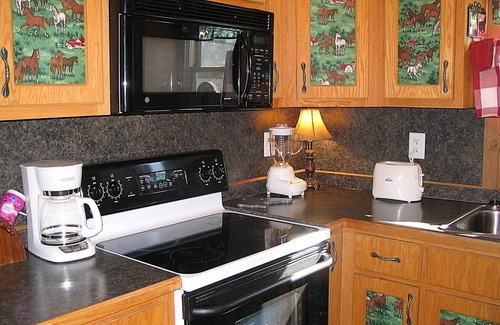 Covington Cabina | Rustique Cabin at Briarcreek Farm, Downstairs Only, Sleeps 4