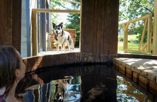 Riocaud Cabina | Séjour Détente Dans une Tiny House et son Bain Bordelais