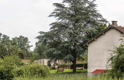 Mazirat Casa | Séjour paisible à Mazirat : Confort et charme au cœur de l'Allier - FR-1-489-127