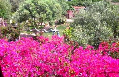 Putzu Idu Casa | S Arena Scoada: Villa a 80 metros de las playas