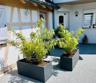 Ittenheim Casa | S'Hiesele petite maison alsacienne typique
