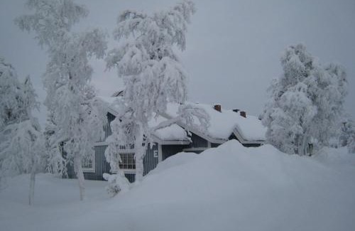 Saariselka Casa | Saariselän Marjamajat