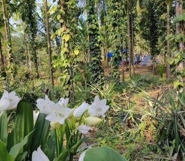 South Garo Hills Casa | SafarnamaStays Homestay & Camping Warichora Meghalaya