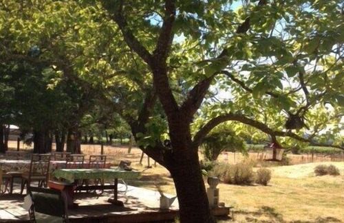 Geyserville Casa | Ciclistas, observadores de aves, amantes del vino, juerguistas de río ¡Bienvenidos!