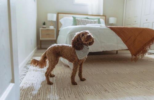 Johnson City Apartamento | Sage Haven #2