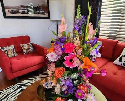 Indio Apartamento | Saint Boniface Hotel