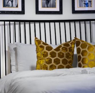 Indio Apartamento | Saint Boniface Hotel