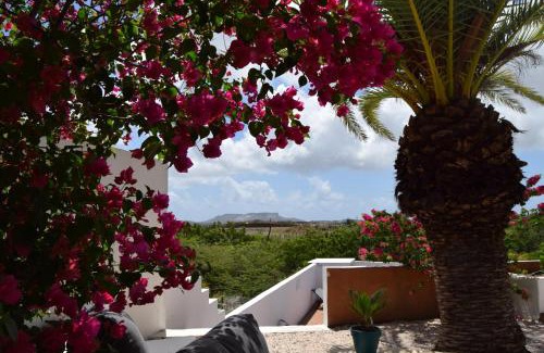 Pietermaai District Complejo | Saint Joris a tiny Boutique Resort