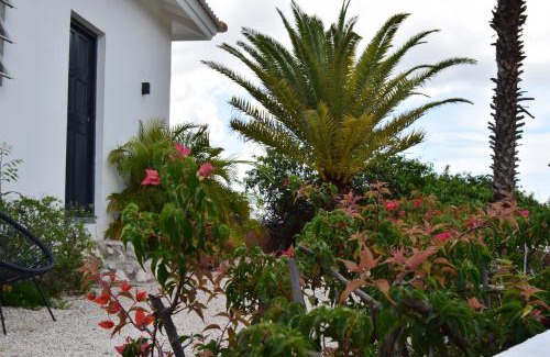 Pietermaai District Complejo | Saint Joris a tiny Boutique Resort
