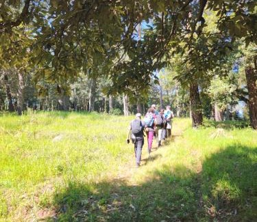 Almora Apartamento | Sakshi Hill Cottage