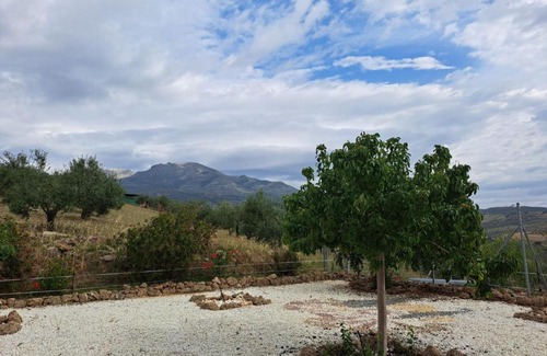 Alozaina Casa | Salvador