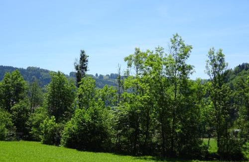 Pinsdorf Casa | Salzkammergut Homes Gmunden - Haus im Grünen, Ruhe, großer eingezäunter Garten - ideal für Familien und Hunde