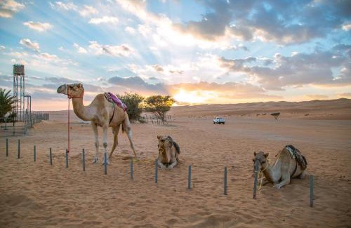 Bidiya Otro | Sama al Wasil Desert Camp