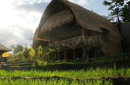 Sidemen Complejo | Samanvaya - Adults Only