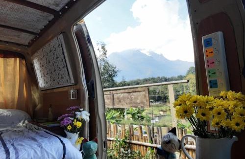 Chiang Dao Otro | Samatha Camper