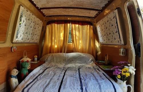 Chiang Dao Otro | Samatha Camper