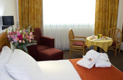 San Juan del Río Hotel | San Juan Park Hotel