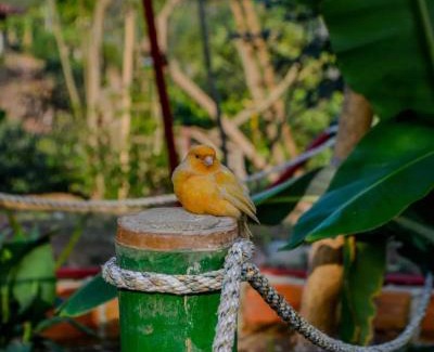 San Agustin Casa | Sanagua Cascadas del Lavapatas