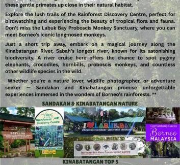 Sandakan Apartamento | Sandakan Homestay & Backpackers