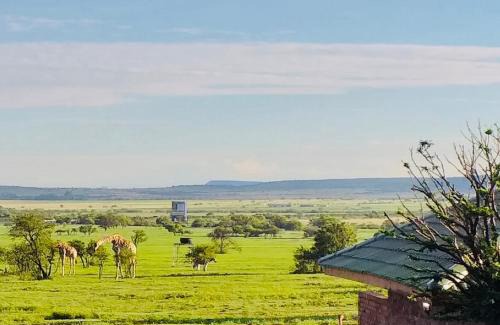 Bloemfontein Cabina | Sangiro Game Lodge - Sustainable Electricity and Water