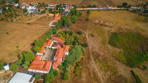 Pero Filho Chalet De Esquí | Santuário SOS Animal
