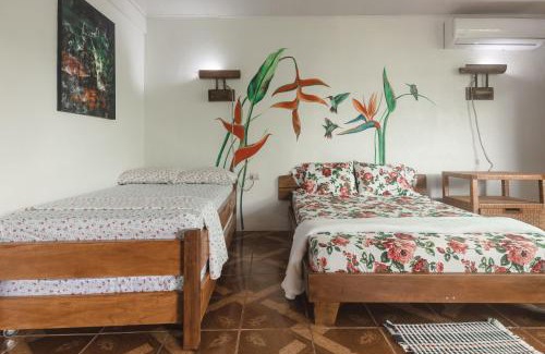 Valle Azul Casa | Santuario de Ranas - Explora nuestro paraíso natural