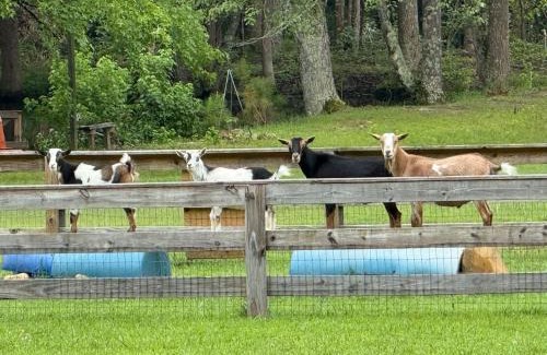 Littleton Casa | Sasquatch ranch double unit