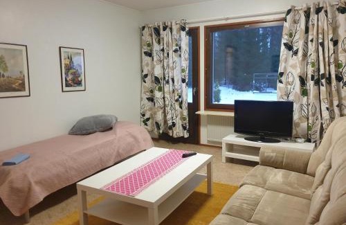 Pielavesi Apartamento | Saunallinen rivitalohuoneisto A1 59m2