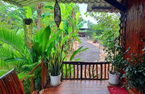 Svay Pao Casa | Savet Family Homestay & Tour