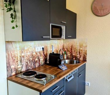 Scheidegg Apartamento | Schmuckstück im Allgäu