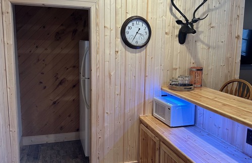 Mecosta Casa | School Section Lake Cozy Cabin