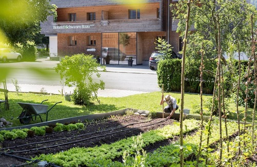 Bizau Casa | Schwanen I - Biohotel Schwanen