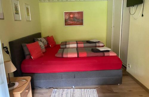 Todtmoos Apartamento | Schwarzwald Anna - Lena 44