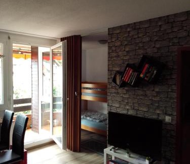 Todtmoos Apartamento | Schwarzwald Anna - Lena 44