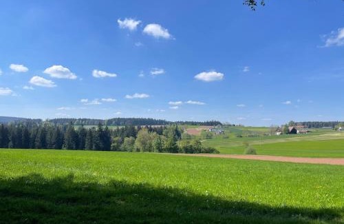Sulgen Apartamento | Schwarzwald - Modern mit Terrasse